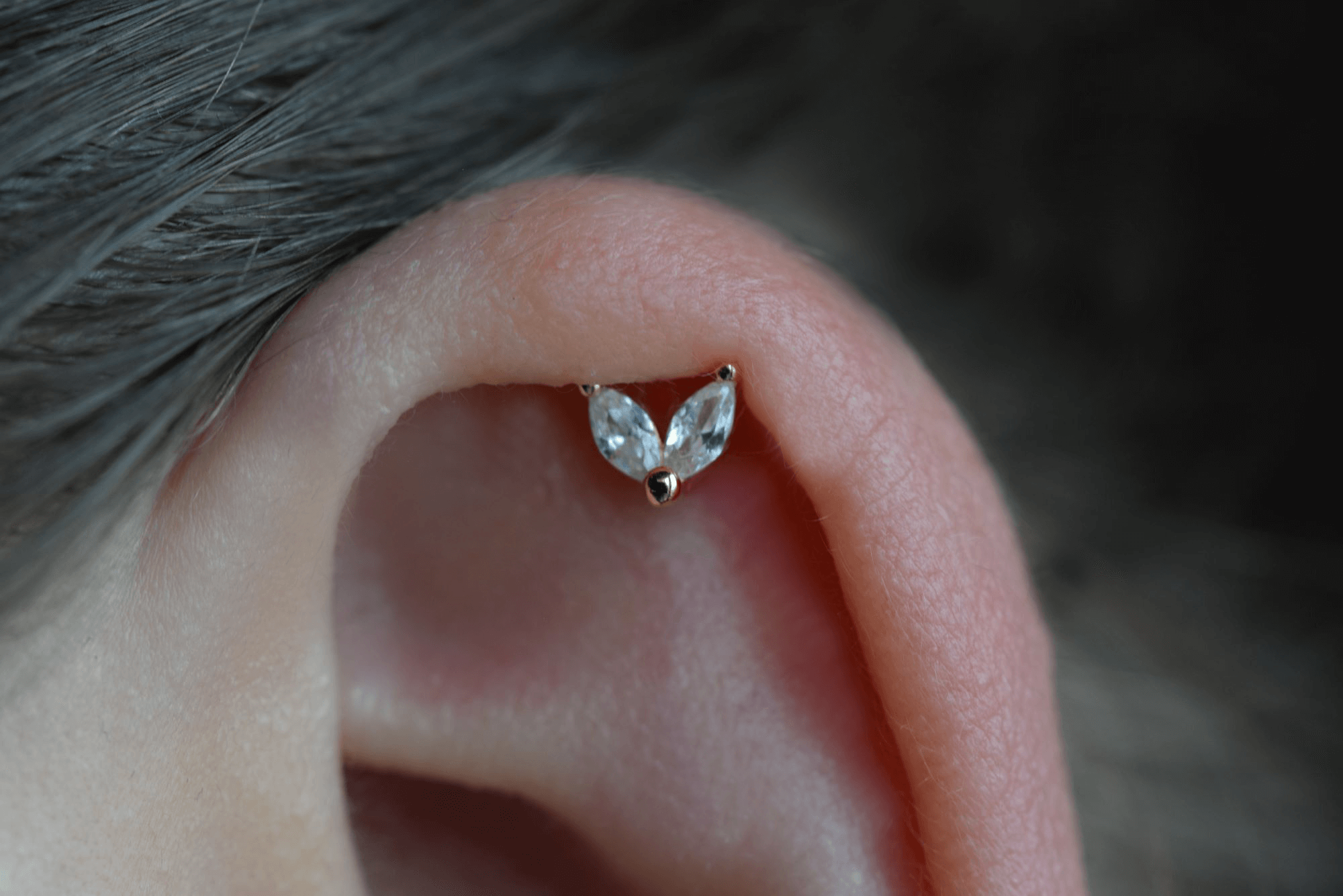 CZ Helix Piercing | labret Stecker Silber Ohr Piercing